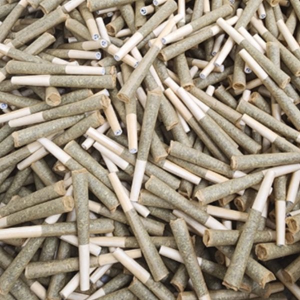 Danny Pakistani Pre-Rolls 1g(2X.5g)
