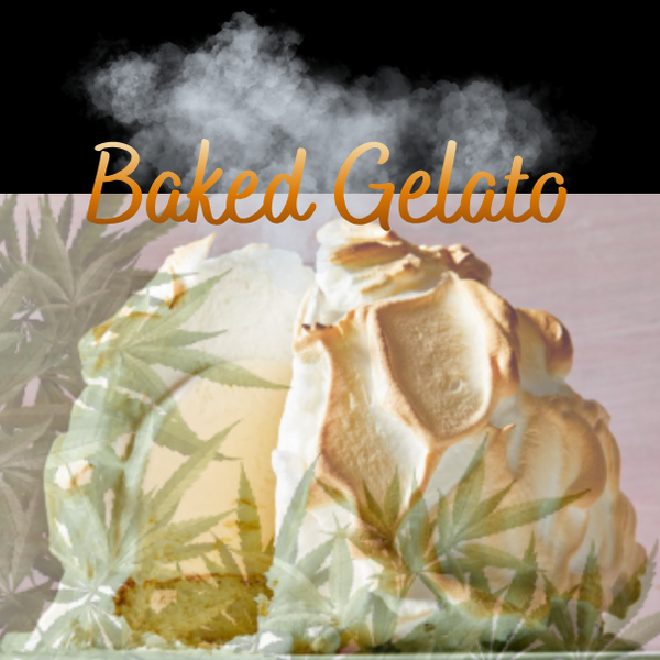 Baked Gelato .7g Infused Pre-Rolls- 2pk