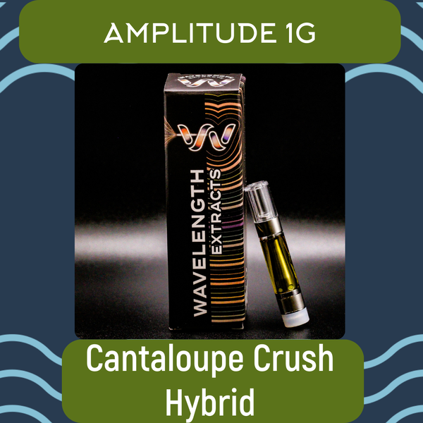 Cantaloupe Crush | 1g Amp Cart 510