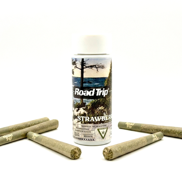Road Trip - 0.7g/5pk Pre-Rolls - Jungle Punch