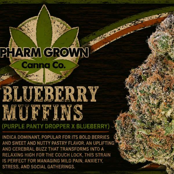 Blueberry Muffin- 14G - Flower