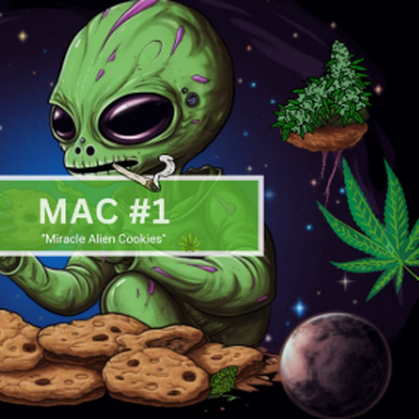 Mac 1 7g Mylar