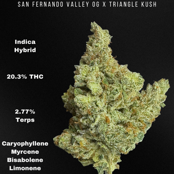 3.5g Mylar - SFV OG x TK