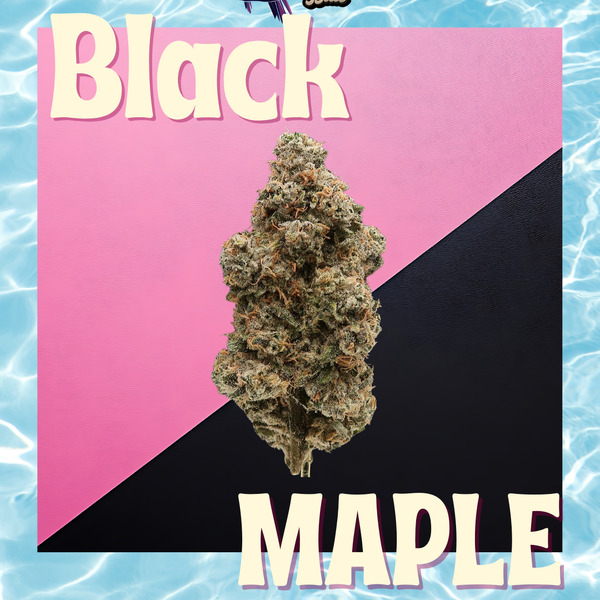 14.0g Mylar - Black Maple