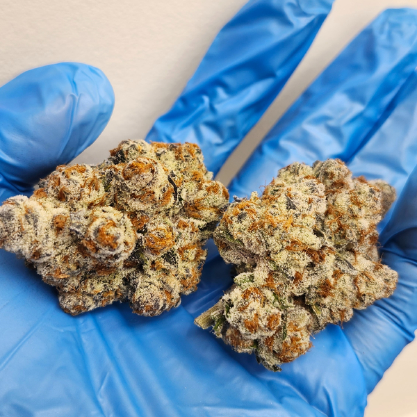 3.5g Trophies - Astronaut Status