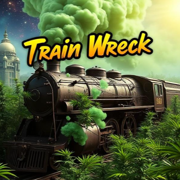 Train Wreck 1g Infused PreRoll