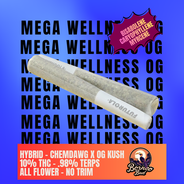 0.5g - Pre-Rolls Two Pack - Mega Wellness OG