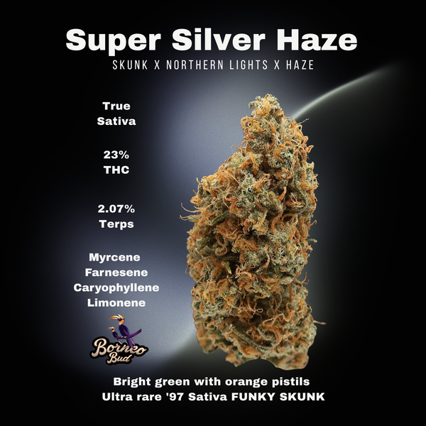 3.5g Trophies - Super Silver Haze