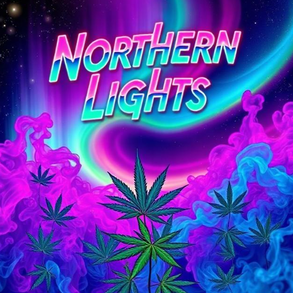 Northern Lights - 7g - Ground
